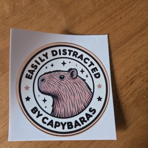 Capybara Bundle - Picture 7 of 7